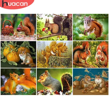HUACAN 5D Diy Diamond Painting Full Square Animal Diamond Art New Arrival Embroidery Squirrel Home Decoration Mosaic Handmade
HUACAN 5D Diy Diamond Painting Full Square Animal Diamond Art New Arrival Embroidery Squirrel Home Decoration Mosaic Handmade