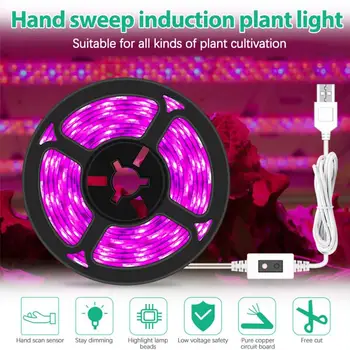 New Plant growth light LED planting fill light with USB hand sweep dimming full spectrum indoor succulent Growing Lamps
New Plant growth light LED planting fill light with USB hand sweep dimming full spectrum indoor succulent Growing Lamps