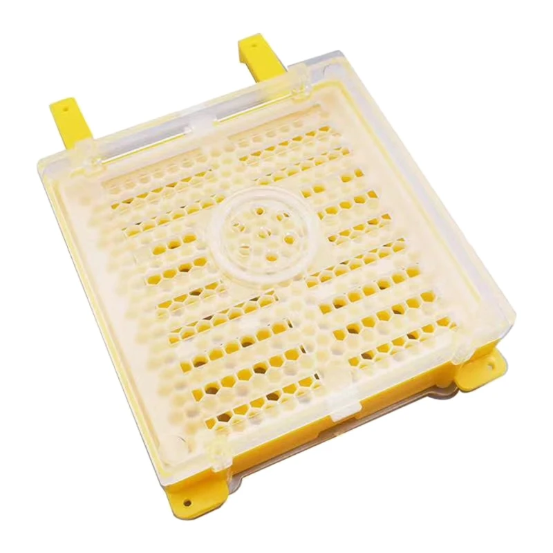 

Beekeeping King Queen Bee Rearing System Box Plastic Cup Cell Protection Cover Cage Apiculture Kit Bees Tools Supplies