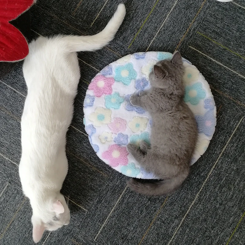 1 Cat Nest Four Seasons Universal Cat Supplies Cat House Cat Cat Bed Cat Mat Kennel Felt Cat Blanket Self Warming
