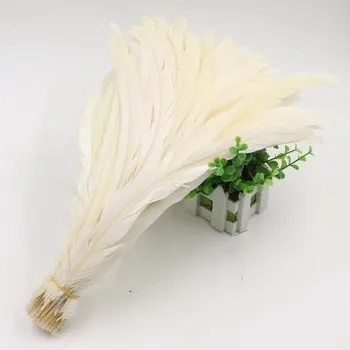 50PCS Raw White Rooster Tails Feather 25-30CM 10-12" Natural Chicken Feathers DIY Cock Plumes For Carnival Dress Cloth Accessory 
50PCS Raw White Rooster Tails Feather 25-30CM 10-12" Natural Chicken Feathers DIY Cock Plumes For Carnival Dress Cloth Accessory