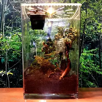 Multiple Purposes Reptile Breeding Box Feeding Boxes Clear Acrylic Reptile Terrarium Feeding Box For Geckos Spiders
Multiple Purposes Reptile Breeding Box Feeding Boxes Clear Acrylic Reptile Terrarium Feeding Box For Geckos Spiders