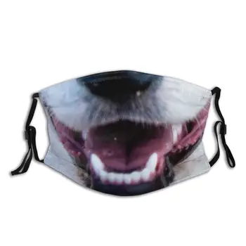 Cute Dog Unisex Reusable Mouth Face Mask with Filter PM2.5 Anti Haze Dust Mask Protection Mask Respirator Mouth Muffle
Cute Dog Unisex Reusable Mouth Face Mask with Filter PM2.5 Anti Haze Dust Mask Protection Mask Respirator Mouth Muffle