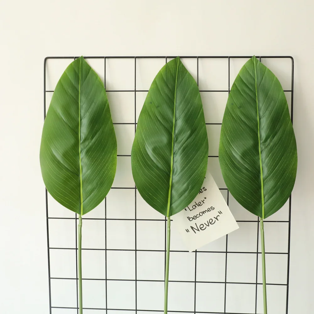 Simulation Canna Leaves Latex Fake Plants Decor Wedding Flower Wall Background Home Accessories Artificial Greenery Plants Leaf
Simulation Canna Leaves Latex Fake Plants Decor Wedding Flower Wall Background Home Accessories Artificial Greenery Plants Leaf