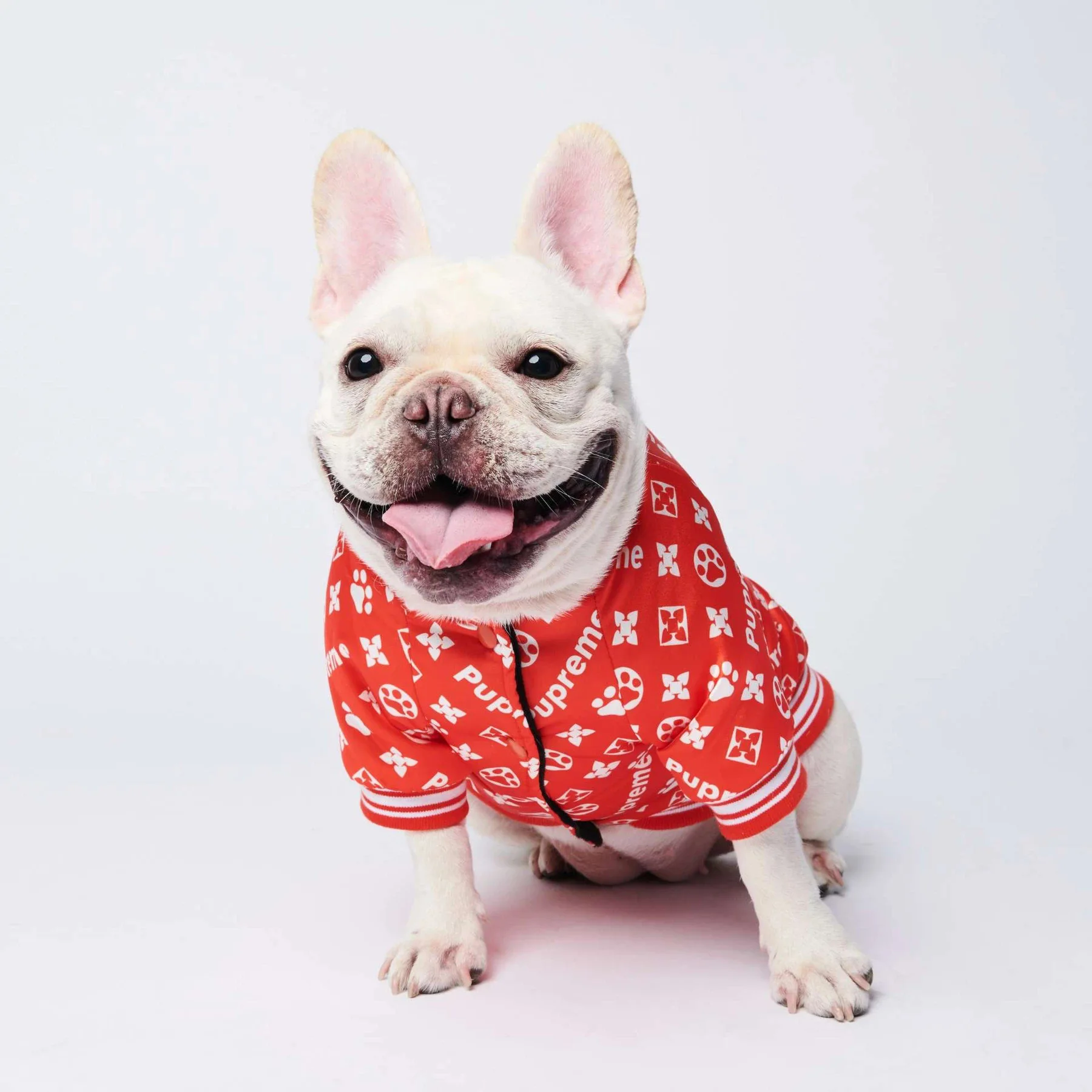 Trendy Brand Teddy French Bulldog Corgi Quilted Autumn and Winter Warm Fashion Puppy Coat Pet Dog Jacket Clothes
Trendy Brand Teddy French Bulldog Corgi Quilted Autumn and Winter Warm Fashion Puppy Coat Pet Dog Jacket Clothes