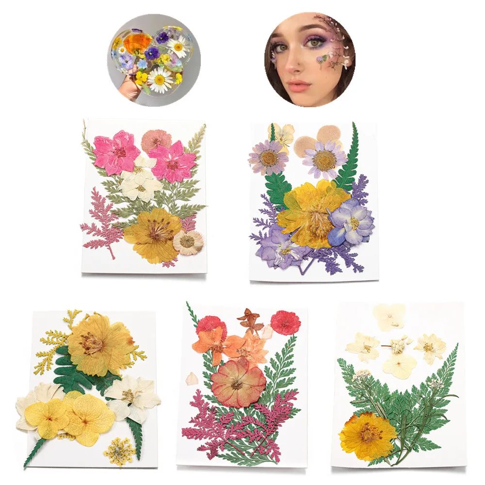 Dried Flowers Resin Molds Fillings UV Epoxy Flower for Nails Art Face Makeup Flowers DIY Jewelry Making Handicraft Accessories
Dried Flowers Resin Molds Fillings UV Epoxy Flower for Nails Art Face Makeup Flowers DIY Jewelry Making Handicraft Accessories