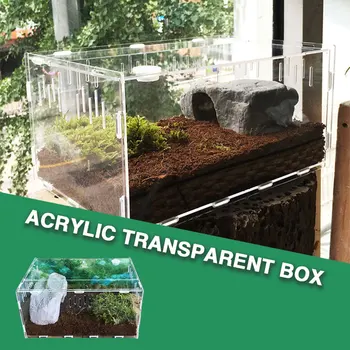 Acrylic Reptile Terrarium Cold Blooded Animals Home Decoration Pet Supplies Practical Climb The Box Insect Reptile Box Portable
Acrylic Reptile Terrarium Cold Blooded Animals Home Decoration Pet Supplies Practical Climb The Box Insect Reptile Box Portable