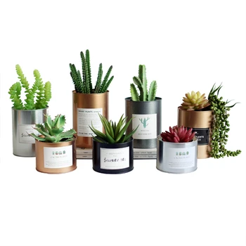 Planting Pot Industry Wind Simulation Cactus Fleshy Vegetation Template Inter Soft Installation Meter
Planting Pot Industry Wind Simulation Cactus Fleshy Vegetation Template Inter Soft Installation Meter
