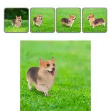 Corgi Statue Creative Brown Durable Realistic PVC Dog Corgi Figurine for Dog Lover Corgi Model Miniature Corgi
Corgi Statue Creative Brown Durable Realistic PVC Dog Corgi Figurine for Dog Lover Corgi Model Miniature Corgi