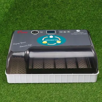 12 Slots Automatic Chicken Incubator Home Use Incubator Chicken Duck Bird Incubator With UK Plug Black
12 Slots Automatic Chicken Incubator Home Use Incubator Chicken Duck Bird Incubator With UK Plug Black