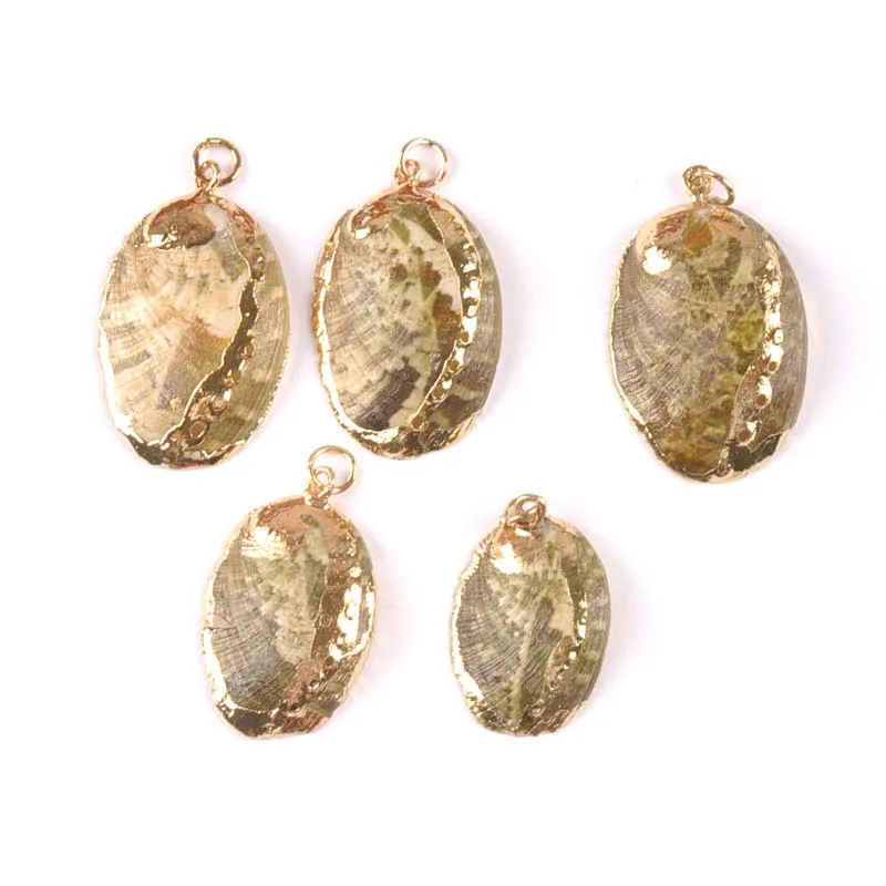 Natural seashell Gold Plated sector Abalone shells for earring DIY handmade charms pendant Home decoration 5pcs TRS0342
Natural seashell Gold Plated sector Abalone shells for earring DIY handmade charms pendant Home decoration 5pcs TRS0342