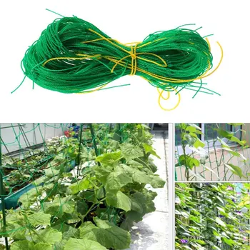 Gardening Plant Climbing Net Trellis Netting Support Climbing Melon Fruit Climbing Flower for Vine Plant 
Gardening Plant Climbing Net Trellis Netting Support Climbing Melon Fruit Climbing Flower for Vine Plant