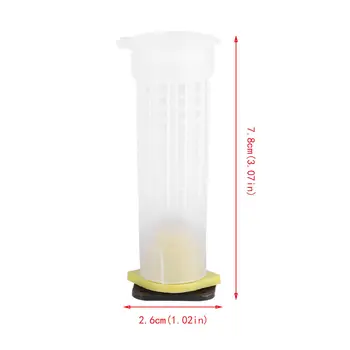 Beekeeping Rearing Cup Tools Queen Bee Hair Roller Cages White Plastic Practical
Beekeeping Rearing Cup Tools Queen Bee Hair Roller Cages White Plastic Practical