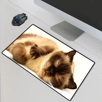 Yuzuoan 90X40 Gaming Mouse Pad Cute Pet Cat High-definition Cloth Fabric Esports Player Keyboard Home Table Mat Custom LOGO XXL
Yuzuoan 90X40 Gaming Mouse Pad Cute Pet Cat High-definition Cloth Fabric Esports Player Keyboard Home Table Mat Custom LOGO XXL
