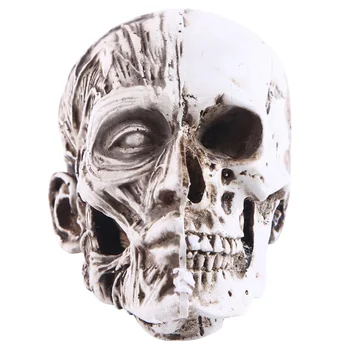 Muscle Skull Art Sketch Model Desktop Ornament Creative Resin Halloween Decoration Crafts
Muscle Skull Art Sketch Model Desktop Ornament Creative Resin Halloween Decoration Crafts