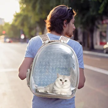 1pc Durable Portable Creative Adorable Handbag Travel Bag for Pets Cats
1pc Durable Portable Creative Adorable Handbag Travel Bag for Pets Cats