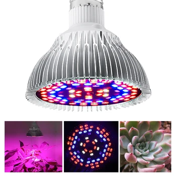 80W Full Spectrum LED Grow Light Red Blue UV IR Growing Lamp For Hydroponics Flowers Plant Seedlings Cultivation Lighting
80W Full Spectrum LED Grow Light Red Blue UV IR Growing Lamp For Hydroponics Flowers Plant Seedlings Cultivation Lighting