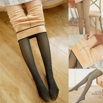 Legs Fake Translucent stockings Warm Fleece Pantyhose Thicken High elasticity Slim Stretchy Winter Outdoor tights ropa mujer #12
Legs Fake Translucent stockings Warm Fleece Pantyhose Thicken High elasticity Slim Stretchy Winter Outdoor tights ropa mujer #12