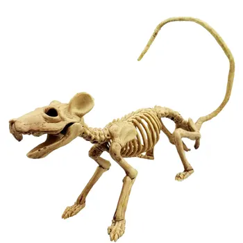 Halloween Rat Skeleton Plastic Animal Skeleton Bones Simulative Skeleton Decoration for Horror Halloween Decoration 
Halloween Rat Skeleton Plastic Animal Skeleton Bones Simulative Skeleton Decoration for Horror Halloween Decoration