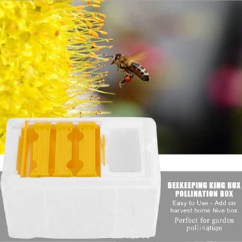 Foam Hive Box Bee Queen Mating Box Copulation Pollination Beekeeping For Bee Mating Tool eehive Beekeeping Case Reserve
Foam Hive Box Bee Queen Mating Box Copulation Pollination Beekeeping For Bee Mating Tool eehive Beekeeping Case Reserve