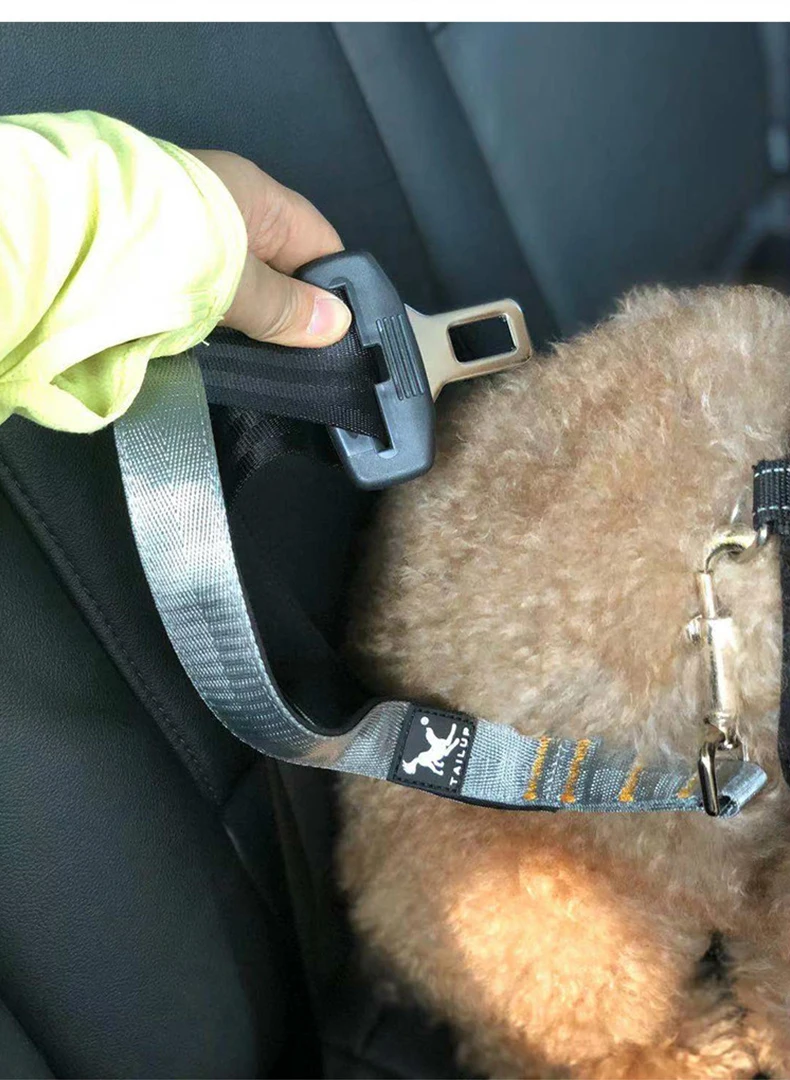 Walking Short Leash Durable Pet - peticadeals