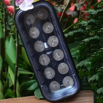 2 Sets Three in One Sowing Seedling Plate Plant Seeds Germination Tray Nutritious Soil Set Gardening Seed Box Set Portable Grow
2 Sets Three in One Sowing Seedling Plate Plant Seeds Germination Tray Nutritious Soil Set Gardening Seed Box Set Portable Grow