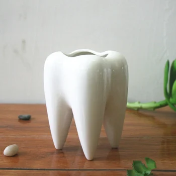 Teeth Model White Ceramic Flower Pot Tooth Shape Modern Design Planter Mini Desktop Pot Creative Gift
Teeth Model White Ceramic Flower Pot Tooth Shape Modern Design Planter Mini Desktop Pot Creative Gift