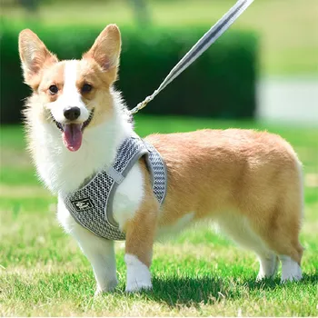 Dog Vest Harness Collar Lead Leash Cat Pet Mesh Breathable Vest Harness Dog Rope Dog Chest Strap Pet Dog Supplies Training Leash
Dog Vest Harness Collar Lead Leash Cat Pet Mesh Breathable Vest Harness Dog Rope Dog Chest Strap Pet Dog Supplies Training Leash