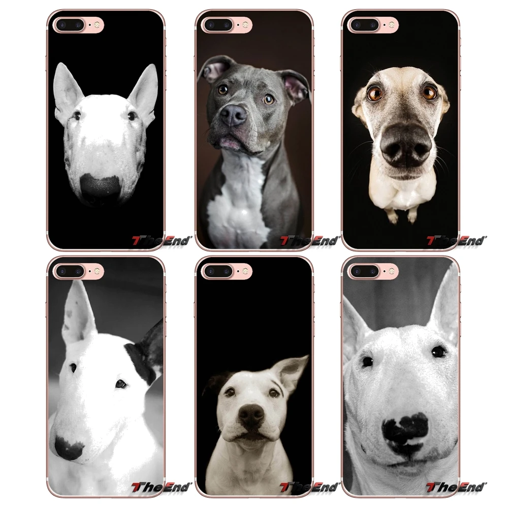 For Huawei Honor 4C 5X 5C 6X Mate 7 8 9 Y3 Y5 Y6 II 2 Pro G7 G8 P7 P8 P9 Lite 2017 Bull Terrier Dogs Silicone TPU Soft Case
For Huawei Honor 4C 5X 5C 6X Mate 7 8 9 Y3 Y5 Y6 II 2 Pro G7 G8 P7 P8 P9 Lite 2017 Bull Terrier Dogs Silicone TPU Soft Case