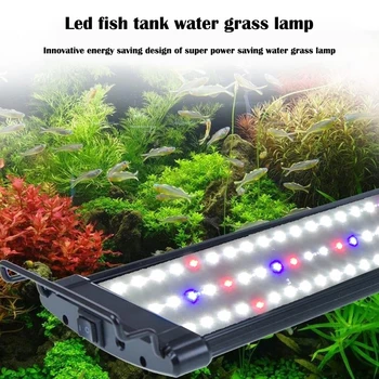 Eco Aquarium LED 120MLighting Fish Tank Garden Lighting Multi-Color Adjustab Coral Water Grass Landscaping Plant Lighting Lamps
Eco Aquarium LED 120MLighting Fish Tank Garden Lighting Multi-Color Adjustab Coral Water Grass Landscaping Plant Lighting Lamps