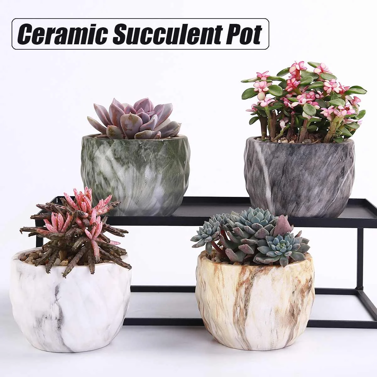 4pcs/set Art Nordic Style Marbling Succulent Ceramic Plant Pot Cactus Holder Stand for Office Bookshelf Decor Accessories
4pcs/set Art Nordic Style Marbling Succulent Ceramic Plant Pot Cactus Holder Stand for Office Bookshelf Decor Accessories