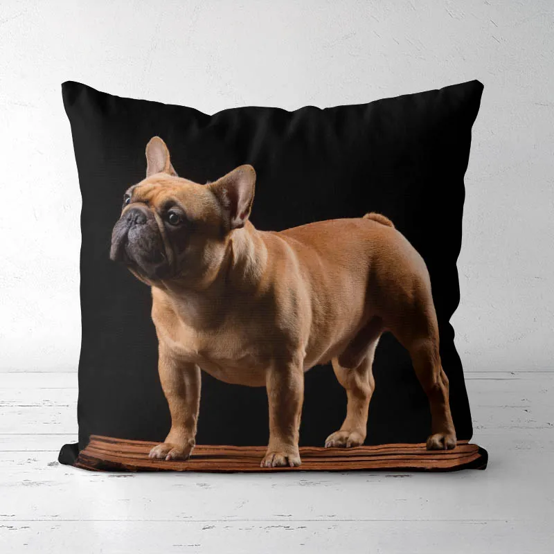 Dog pattern Decorative Throw Pillow Covers Multiple sizes, Throw Pillow Cases for Sofa Bedroom Car
Dog pattern Decorative Throw Pillow Covers Multiple sizes, Throw Pillow Cases for Sofa Bedroom Car