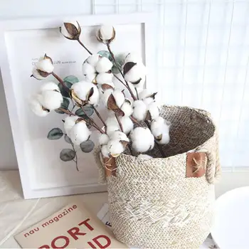 10 Head Naturally Dried Cotton Flower Artificial Plants Floral Branch Rustic Style Vase Display Filler Floral Wedding Decoration
10 Head Naturally Dried Cotton Flower Artificial Plants Floral Branch Rustic Style Vase Display Filler Floral Wedding Decoration