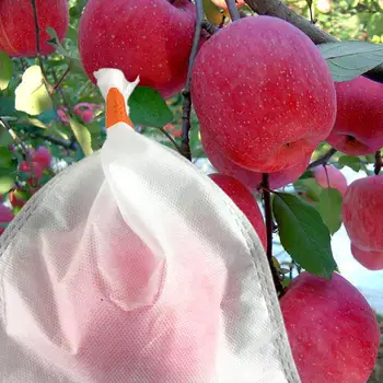 50Pcs/Lot Plants Fruit Protection Bag Anti Bird Drawstring Net Bag Agriculture Pest Control Tool Prevent Fruit Tree Mosquitoes
50Pcs/Lot Plants Fruit Protection Bag Anti Bird Drawstring Net Bag Agriculture Pest Control Tool Prevent Fruit Tree Mosquitoes