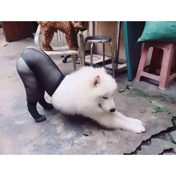 Pet Dog Funny Silk Stockings Dog Photo Taking Props Imitating Costume Supplies for Large and Medium Dogs XHC88
Pet Dog Funny Silk Stockings Dog Photo Taking Props Imitating Costume Supplies for Large and Medium Dogs XHC88