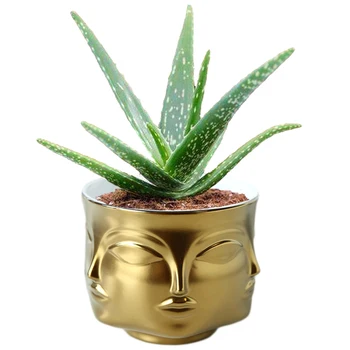 Nordic Ceramic 3D Human Face Model Flower Pot Home Succulent Cactus Bonsai Pot Plant Vase Planter Holder Home Decor Crafts
Nordic Ceramic 3D Human Face Model Flower Pot Home Succulent Cactus Bonsai Pot Plant Vase Planter Holder Home Decor Crafts