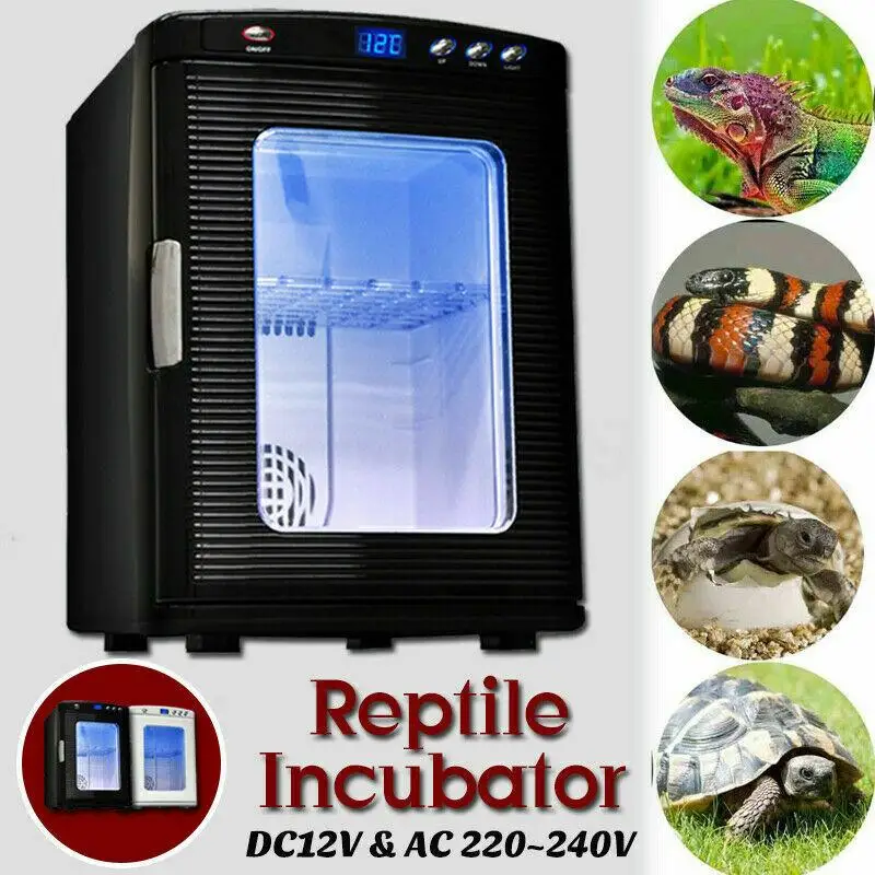 

25L Reptile Incubator Scientific Lab Incubator Cooling and Heating 2-60°C 12V/110V Work for Small Reptiles