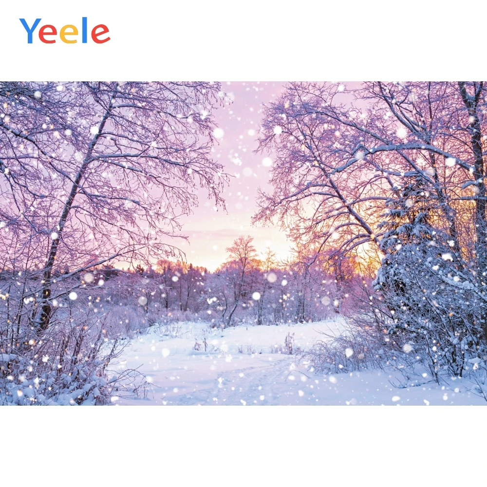 Christmas Winter Forest Tree Snowflake Snow Nature Scene Backdrop Background Photography Backdrops Vinyl Photophone Photozone
Christmas Winter Forest Tree Snowflake Snow Nature Scene Backdrop Background Photography Backdrops Vinyl Photophone Photozone
