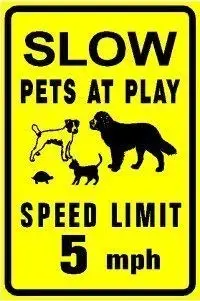 Tin Sign Vintage Metal Sign Speed Limit 5MPH Slow Down Pets at Play Dog Cat Turtle Animal Sign Home Yardative Safety Sign Man
Tin Sign Vintage Metal Sign Speed Limit 5MPH Slow Down Pets at Play Dog Cat Turtle Animal Sign Home Yardative Safety Sign Man