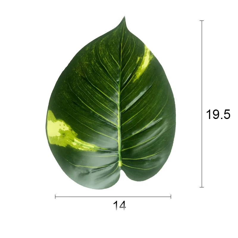 11135379189_1493019570