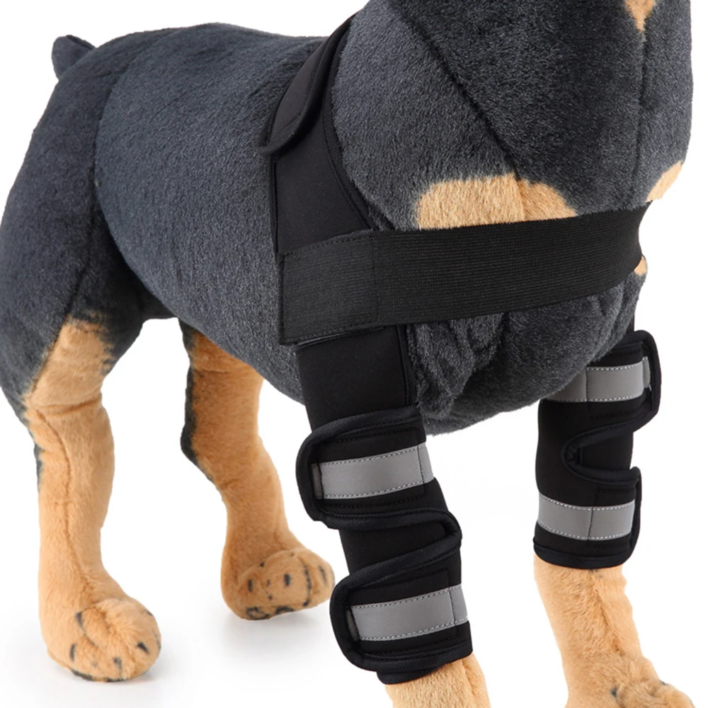 1 Set Dog Elbow Protector Sleeve Elbow Pad Dog Canine Leg Hock Joint Protection Wounds with Bandage Wrap Heals Sprains Helps
1 Set Dog Elbow Protector Sleeve Elbow Pad Dog Canine Leg Hock Joint Protection Wounds with Bandage Wrap Heals Sprains Helps