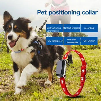 Smart GPS Tracker MiNi Pet Positioning Collar IP67 for Dogs and Cat GPS LBS Positioning Geofence SOS Real-time Tracker Anti-lost
Smart GPS Tracker MiNi Pet Positioning Collar IP67 for Dogs and Cat GPS LBS Positioning Geofence SOS Real-time Tracker Anti-lost