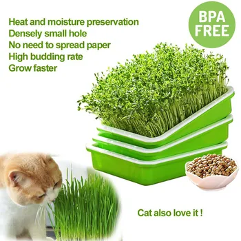 Sprouter Nursery Tray Double-layer Soilless Culture Beans Hydroponic Nursery Tray Seedling Tray Garden Supplies
Sprouter Nursery Tray Double-layer Soilless Culture Beans Hydroponic Nursery Tray Seedling Tray Garden Supplies