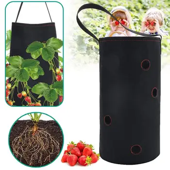 Strawberry Planting Growing Bag Multi-mouth DIY Container Bags Grow Planter Pouchs Root Bonsai Plant Pot Garden Supplies Tool
Strawberry Planting Growing Bag Multi-mouth DIY Container Bags Grow Planter Pouchs Root Bonsai Plant Pot Garden Supplies Tool