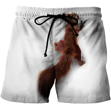 2021 men's casual pants squirrel 3D printing quick-drying comfortable sports high quality beach pants breathable swimming shorts
2021 men's casual pants squirrel 3D printing quick-drying comfortable sports high quality beach pants breathable swimming shorts