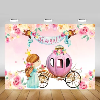 Girl Baby Shower Photo Background Cartoon Newborn Royal Princess Backdrop Pink Carriage Watercolor Flowers Birds Photocall
Girl Baby Shower Photo Background Cartoon Newborn Royal Princess Backdrop Pink Carriage Watercolor Flowers Birds Photocall