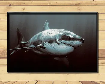 Shark Huge Strong Marine Animal (14) Wall Posters Prints Silk Art Painting For Home Wall Bedroom Decor
Shark Huge Strong Marine Animal (14) Wall Posters Prints Silk Art Painting For Home Wall Bedroom Decor