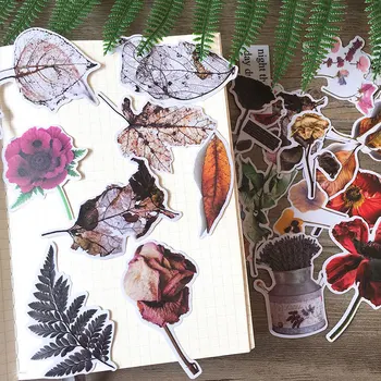 23Pcs/Bag Vintage Dry Flowers Withered Leaves DIY Craft Scrapbooking Album Journal Planner Decor Stickers
23Pcs/Bag Vintage Dry Flowers Withered Leaves DIY Craft Scrapbooking Album Journal Planner Decor Stickers