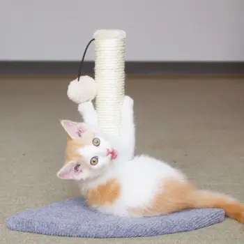 Kitten Climbing Frame Cat Scratch Board Sisal Toy Spring Mouse Claw Grinder Y5GB
Kitten Climbing Frame Cat Scratch Board Sisal Toy Spring Mouse Claw Grinder Y5GB