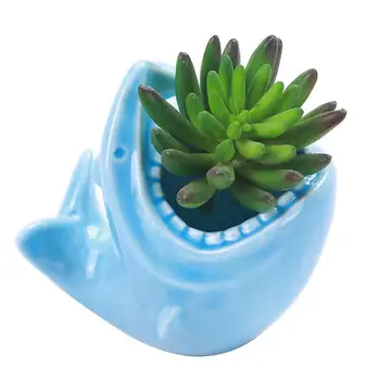 2pcs Shark Shape Flower Pot Ceramics Bonsai Succulent Plant Pot Plant Glowing Container Desktop Decor For Home Office
2pcs Shark Shape Flower Pot Ceramics Bonsai Succulent Plant Pot Plant Glowing Container Desktop Decor For Home Office